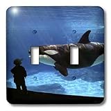 VWPics Whales and Dolphins - This young man (MR) is getting a close look at one of killer whales, Orcinus orca - Light Switch Covers - double toggle switch