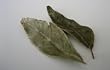 Dry Curry Leaves- 1oz