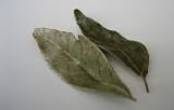 Indian Spice Dry Curry Leaves(1 oz)-