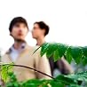 Image of Kings of Convenience