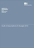 Audit of assumptions for budget 2010