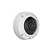 Axis 0556-001 M3027-Pve 5 Megapixel Network Camera M12-Mount (White)