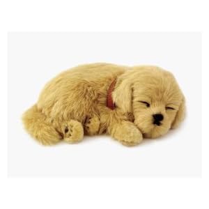 Perfect Petzzz Golden Retreiver Puppy by Perfect Petzzz