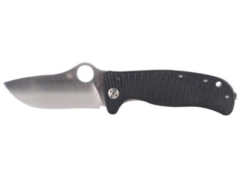 Spyderco Lion Spy G-10/Titanium Plain Edge Knife Spyderco Lion Spy G-10/Titanium Plain Edge Knife Hunting Knives