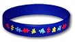 Autism Rubber Bracelet- Greater Akron Chapter of the ASA