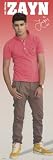 Posters: One Direction Door Poster - 1D Zayn Malik 2012 (62 x 21 inches)
