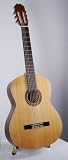 Teton Classical Guitar Solid Cedar Top, Mahogany Back & Sides STC105NT Teton Classical Guitar Solid Cedar Top, Mahogany Back & Sides STC105NT