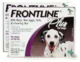 12 PACK Frontline PLUS Purple