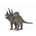 Triceratops
