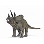 Triceratops