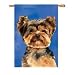 yorkshire_terrier21yorkshire terrier - Yorkshire Terrier Banner