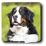 Dogs Bernese Mountain Dog - Bernese Mountain Dog - Mouse Pads