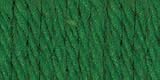 Bernat Sugarn Cream Cotton Yarn-Dark Pine