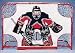 Sporting Goods : Franklin NHL Championship Goal Shooting Target (44-Inch x 54-Inch)