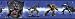 Hasbro Transformers Autobot Robots Movie Peel and Stick Wallpaper Border