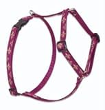 Lupine Small Dog Harness - Royal Gold 12-20