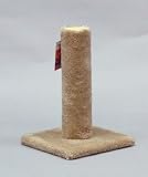 Carpet Cat Post 20