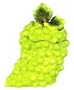 GREEN GRAPES 3-Dimensional Cookie Jar GRAPE Bundle *NEW!*