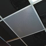 SPOT Sound Masking LayIn Ceili ng Speaker