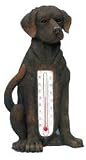 Outdoor Living : Chocolate Labrador Thermometer