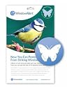 Butterfly Window Decal-Save Wild Birds!