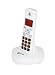 Geemarc Mydect 100 Amplified Big Button Cordless Telephone -