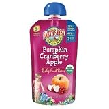 Earth's Best 3rd Foods Organic Puree Baby Food - Pumpkin Cranberry Apple - 4.2 Oz. Pouch