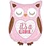 Baby Girl Owl Shower Balloons Decorations Supplies