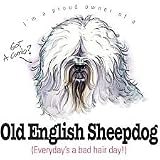 Old English Sheepdog Proud Owner Womens Scoop Neck T-Shirt