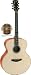 Acoustic Guitar - Faith Natural Range - Saturn Jumbo - Shado