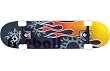 Fireball Skateboard