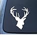 DEER HEAD - Hunting Buck - Car, Truck, Notebook, Vinyl Decal Sticker #1174 | Vinyl Color: White