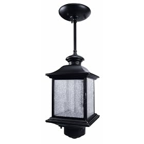 Black Finish ENERGY STAR® Hanging Outdoor Light