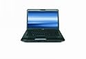 Toshiba Satellite A355-S6922 16.0-Inch Laptop
