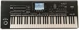 Korg Pa3X61 (61-Key Pro Arranger)