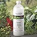 Expressions Unscented Fuel Gell for Firelites 8 hours