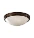 2 Light Indoor Flush Mount