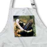 Bluestriped Fangblenny peers out from its hole. (Plagiotremus rhinorhynchos).Solomon Islands - Medium Length Apron With Pouch Pockets 22w X 24l