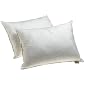 Dream Supreme Plus 100% Gel Filled Standard Pillows, Set of 2