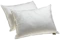 Dream Supreme Plus Gel Fiber-Filled Pillows, Standard, Set of 2