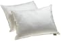 Dream Supreme Plus Gel Fiber-Filled Pillows, Standard (Set of 2)