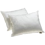 Dream Supreme Plus Gel Fiber-Filled Pillows, Standard, Set of 2