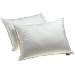 Dream Supreme Plus 100% Gel Filled Standard Pillows, Set of 2