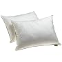 Dream Supreme Plus 100% Gel Filled Standard Pillows, Set of 2