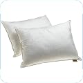 Hypoallergenic Bed Pillows