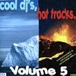 Cool DJs, Hot Tracks Vol 5