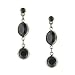 Jewelry : Jewel Tone Channels Jet Color Drop Earrings