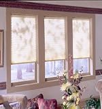Blindsgalore® Pleated Shade: Eloquence 31A%2B6vz3nVL. SL160 Blindsgalore® Pleated Shade: Eloquence