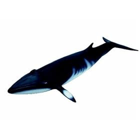 Schleich Minke Whale