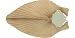 Craftmade B556T-PA7 Natural Palm Type 1 Carved Wood Fan Blades 56 Inch Tropic Isle Ty...